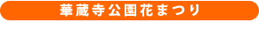 華蔵寺公園花祭り