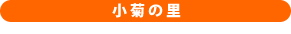 小菊の里